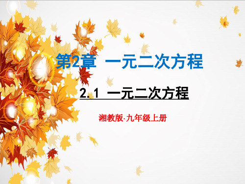 新湘教版九年级数学上册2.1-一元二次方程PPT课件