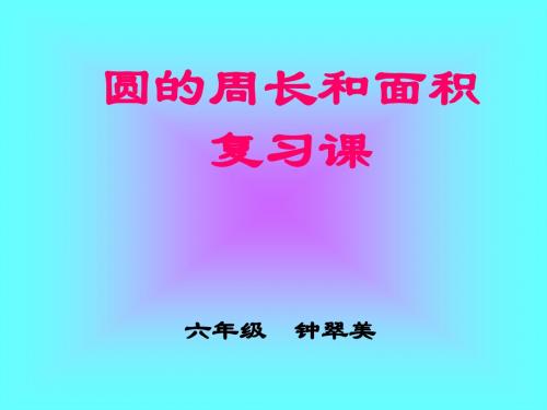 圆的周长和面积练习课课件