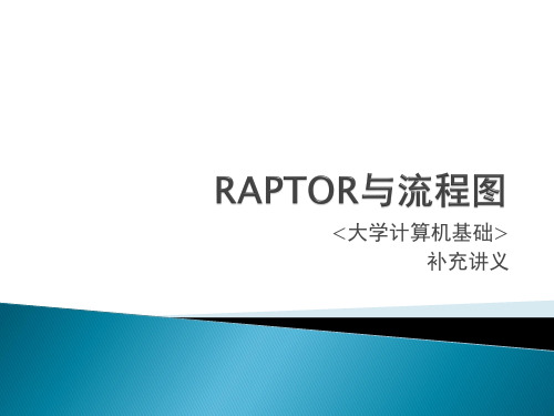 RAPTOR与流程图解析