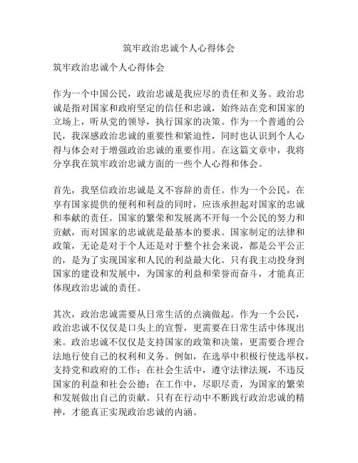 筑牢政治忠诚个人心得体会