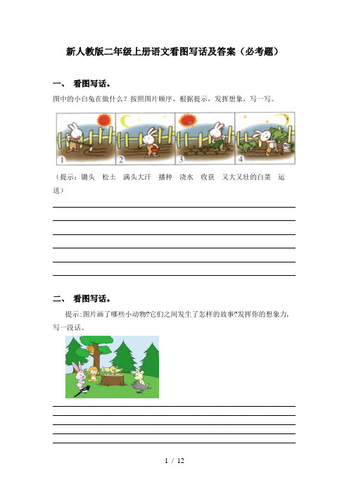 新人教版二年级上册语文看图写话及答案(必考题)