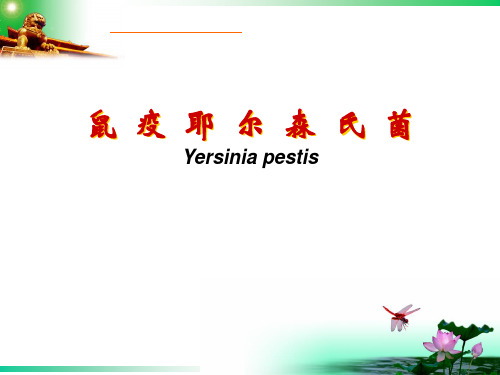 鼠疫耶尔森氏菌
