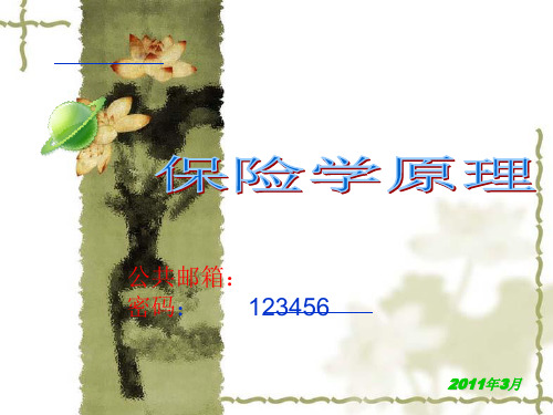 第一章：风险与风险管理精品PPT课件
