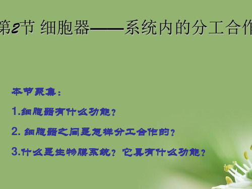 细胞器——系统内的分工合作 57张ppt精选教学PPT课件