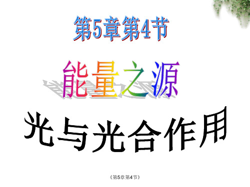 能量之源-光与光和作用 高中生物必修一教学课件PPT 人教版