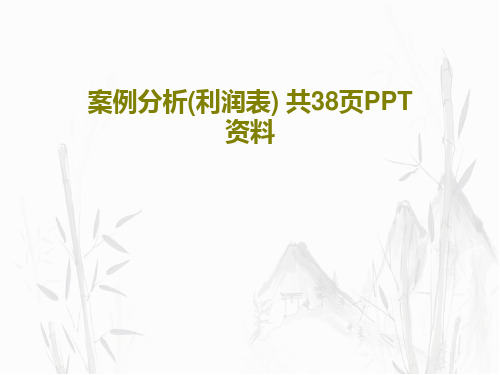 案例分析(利润表) 共38页PPT资料共40页