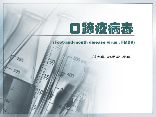 口蹄疫病毒(1)