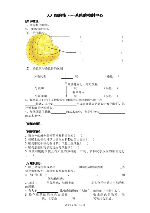 细胞核复习学案