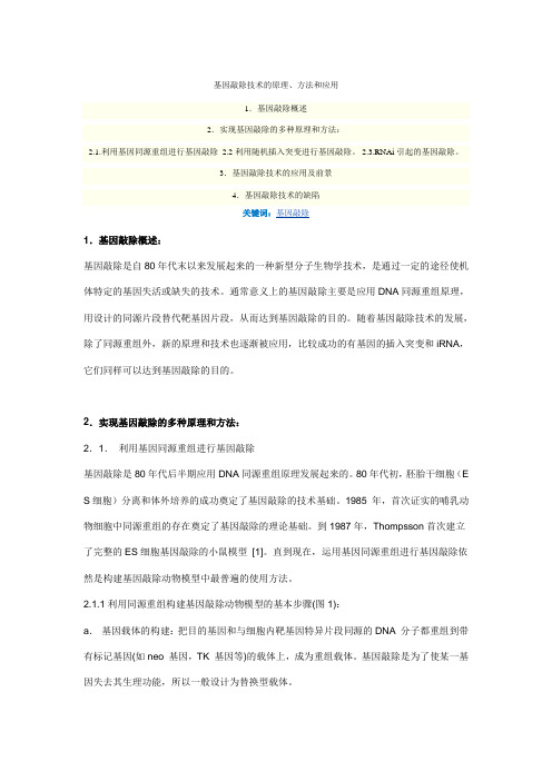 基因敲除)
