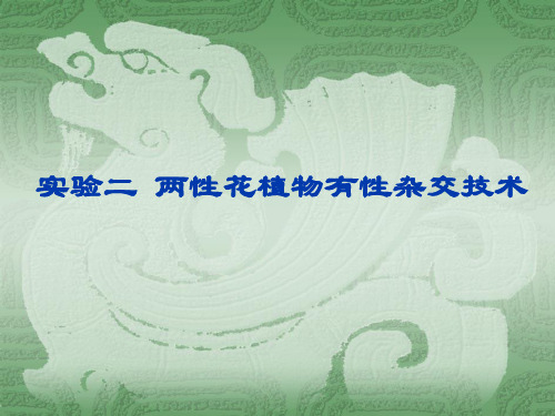 有性杂交技术实验方法