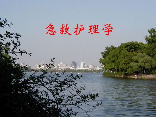 急救护理学重症监护 全套课件40页