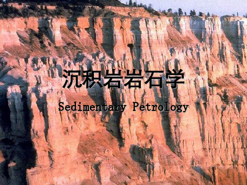 沉积岩岩石学
