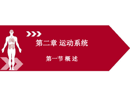 运动解剖学(第三版)课件第二章第一节概述