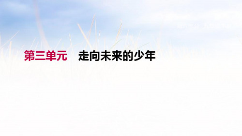 第3单元 - 走向未来的少年复习