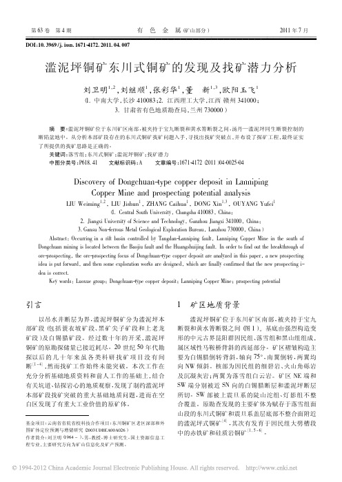 滥泥坪铜矿东川式铜矿的发现及找矿潜力分析_刘卫明