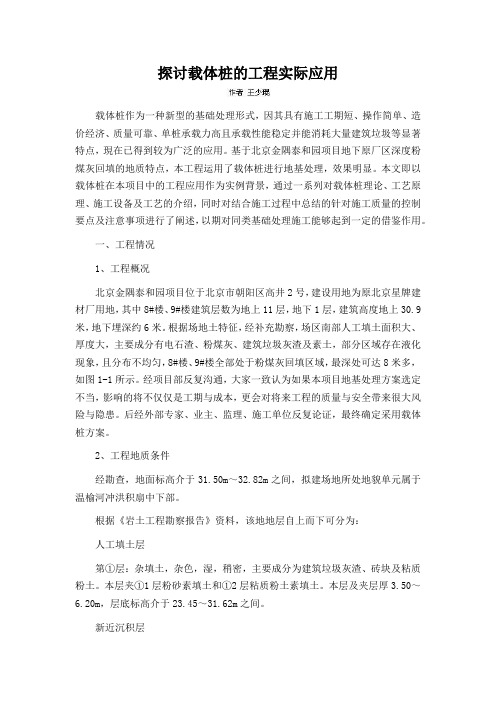 探讨载体桩的工程实际应用