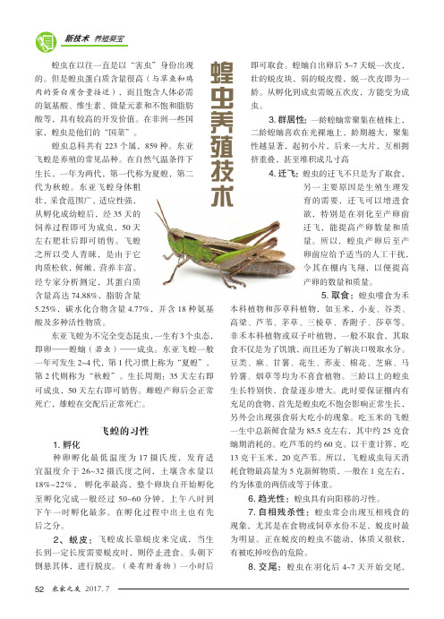 蝗虫养殖技术