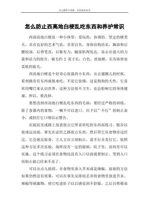 怎么防止西高地白梗乱吃东西和养护常识