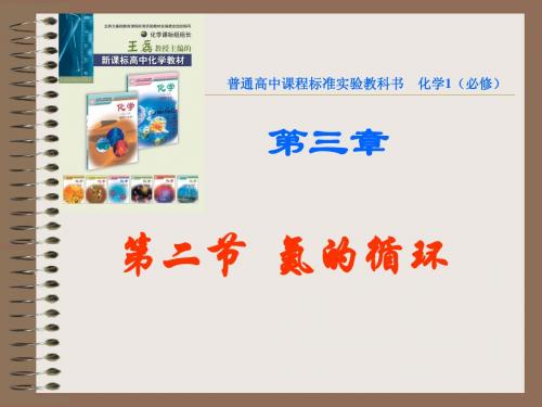 氮的循环的总课件