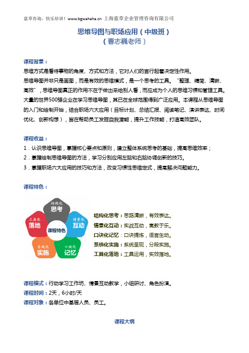 《 思维导图与职场应用(中级班)》 2天版