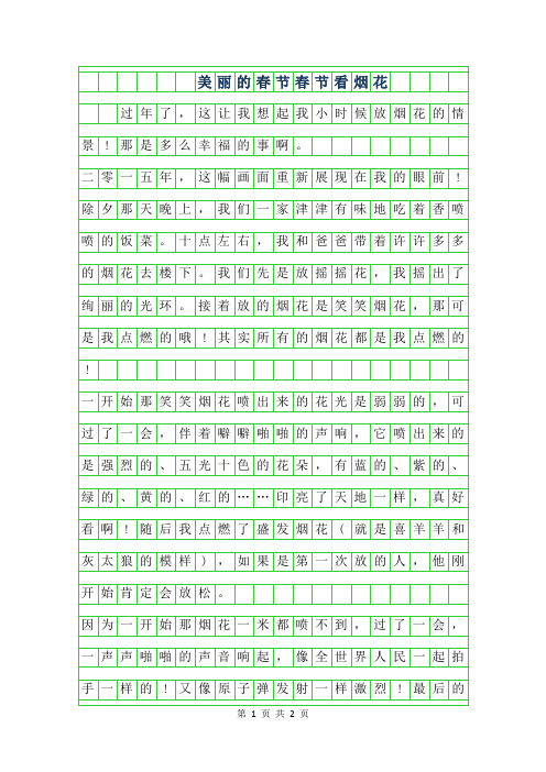 2019年美丽的春节作文-春节看烟花