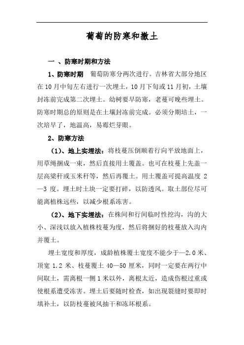 葡萄的防寒和撤土