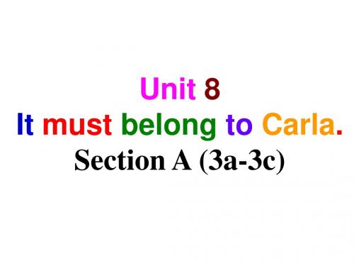 人教新目标英语九年级全册 Unit 8 It must belong to Carla. Section A (3a-3c) 课件