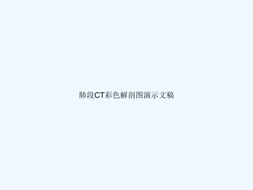 肺段CT彩色解剖图演示文稿