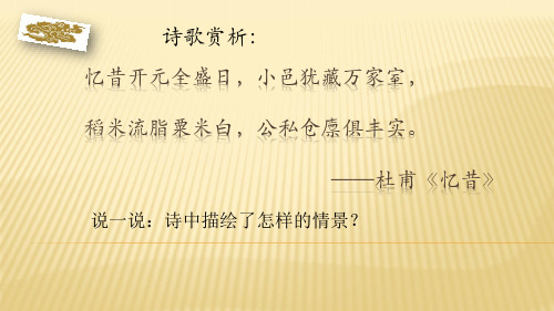 人教部编版七年级历史下册第一单元第2课 从“贞观之治”到“开元盛世”(共19张PPT)