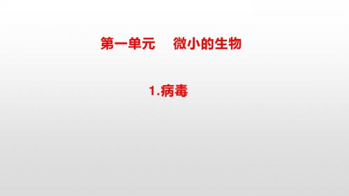 五年级上册科学第一单元病毒(PPT9页)青岛版(五年制)
