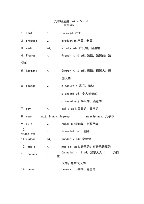 初中英语九年级重点知识点