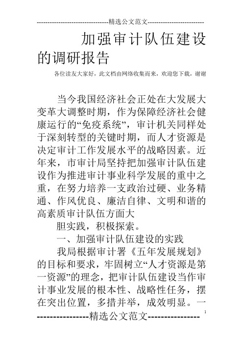 加强审计队伍建设的调研报告