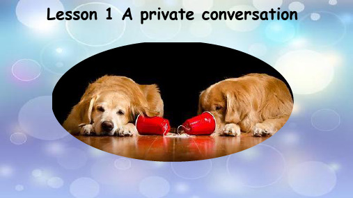 新概念英语第二册Lesson 1 A private conversation课件
