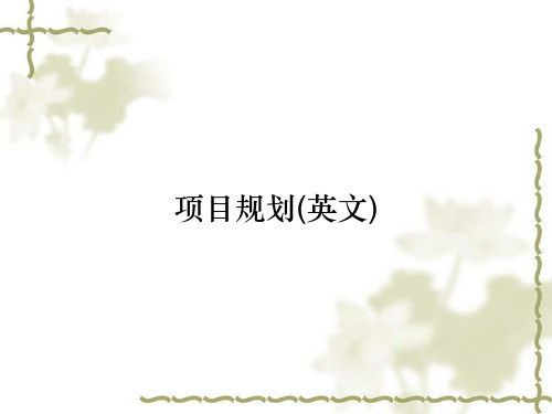 项目规划(英文)