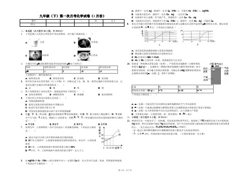 厦门一中九年级(下)第一次月考化学试卷(3月份)解析版