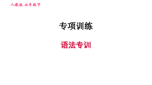 七年级英语下册期末复习专题课件-语法专训