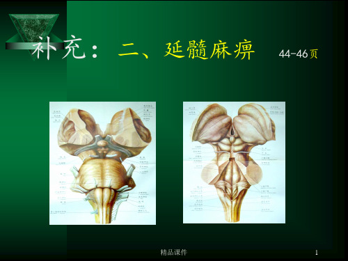 延髓麻痹