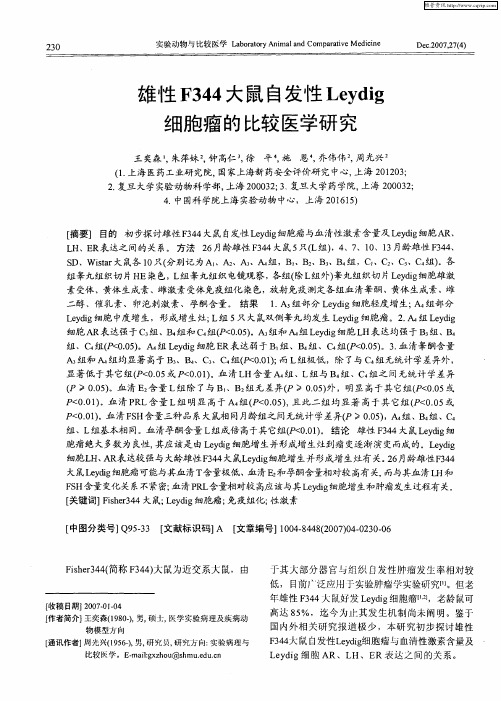 雄性F344大鼠自发性Leydig细胞瘤的比较医学研究