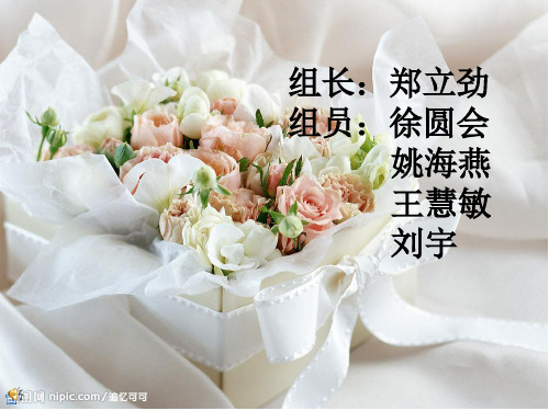 澳门威尼斯人酒店市场营销环境分析——新科学院09旅游管理34-7