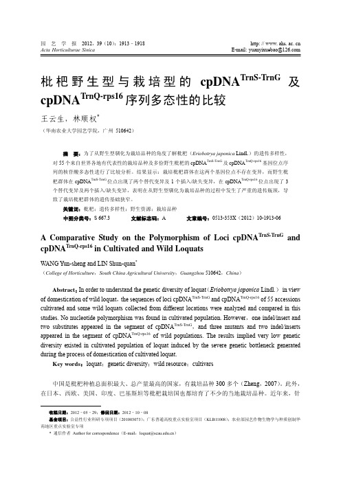 枇杷野生型与栽培型的cpDNA_sup_TrnS-TrnG+_sup_及cpDNA_sup_TrnQ-rps16+_sup_序列多态性的比较