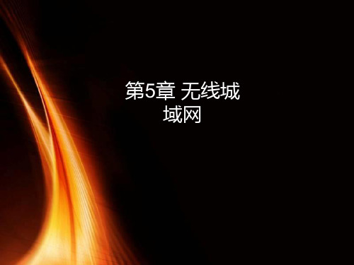 第五章 无线城域网PPT课件