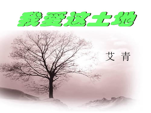 最新人教部编版初中语文九年级上册第2课《我爱这土地》课件