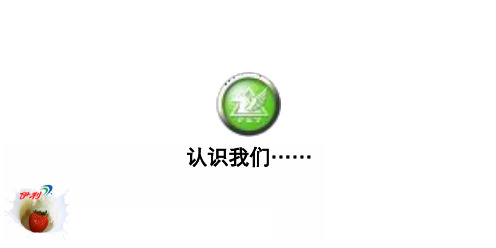 [实用参考]伊利大果粒酸奶全国校园推广策划方案.ppt