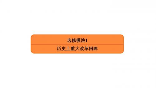 赢在微点2020高考历史总复习   单元提升练复习 课件   打包19套  新人教版