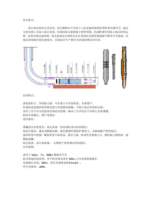 砾石填充防砂完井技术