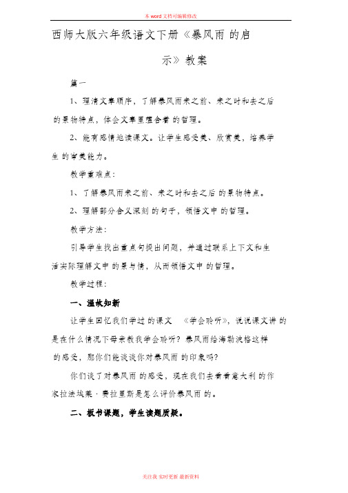 精编西师大版六年级语文下册《暴风雨的启示》教案
