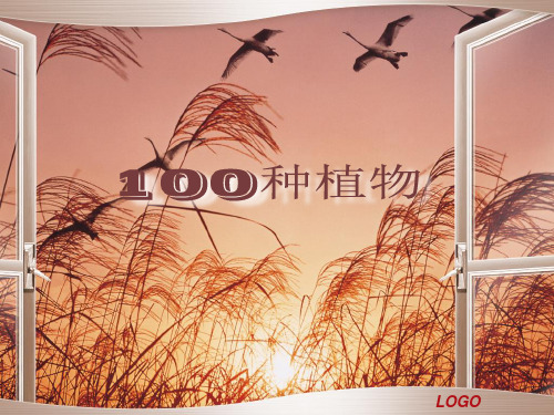 100种植物