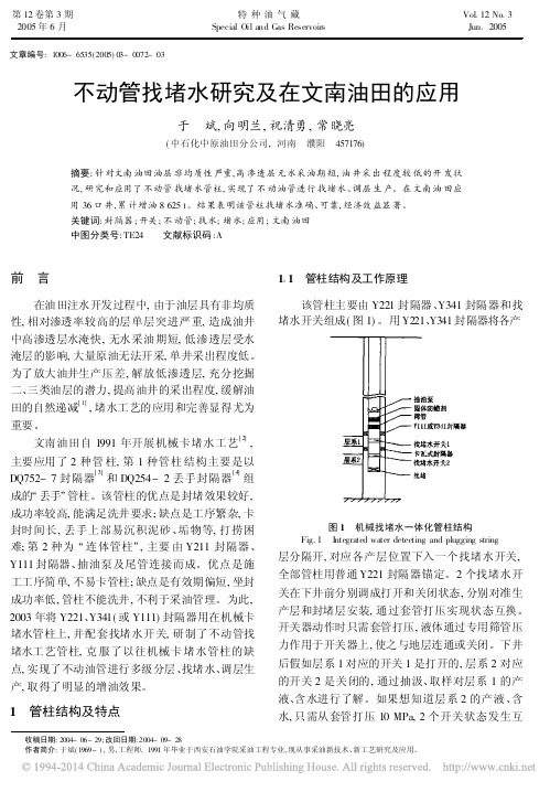 不动管找堵水研究及在文南油田的应用_于斌