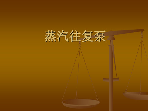 蒸汽往复泵