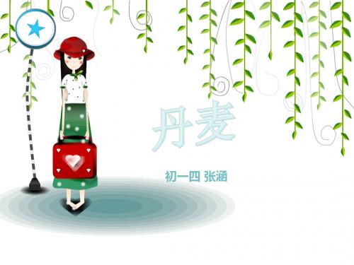丹麦